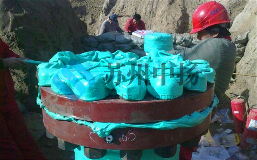 ճ���w������